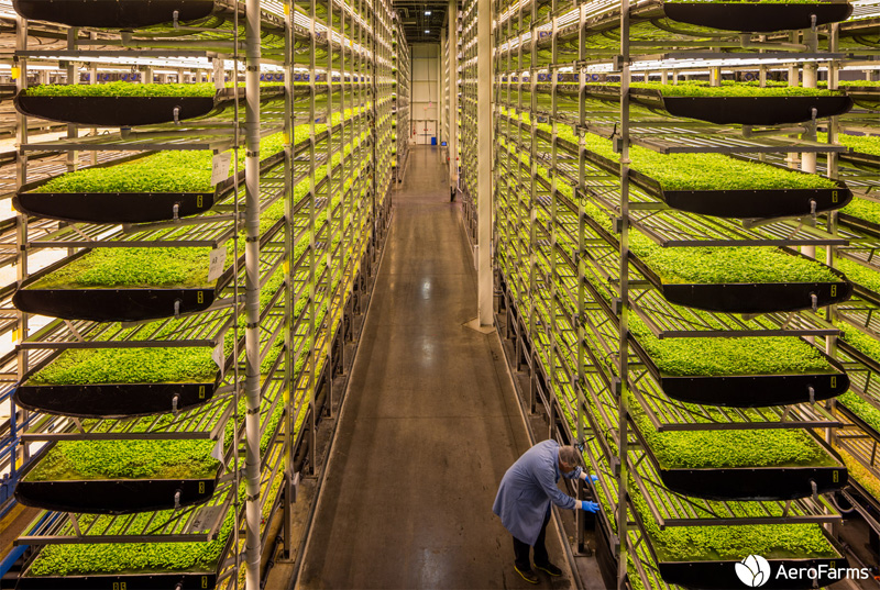 Picture Energy: Huge Indoor Farm in Downtown Newark | Fortnightly